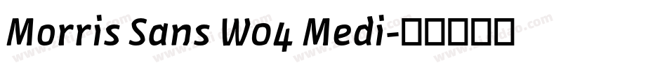 Morris Sans W04 Medi字体转换
